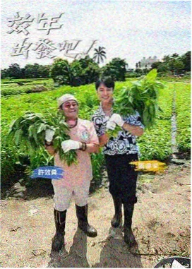 海贼王在线动漫免费观看全集 资讯